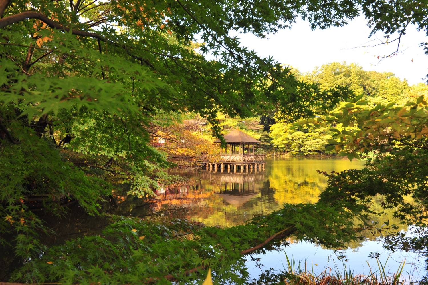 三宝寺池のお堂です