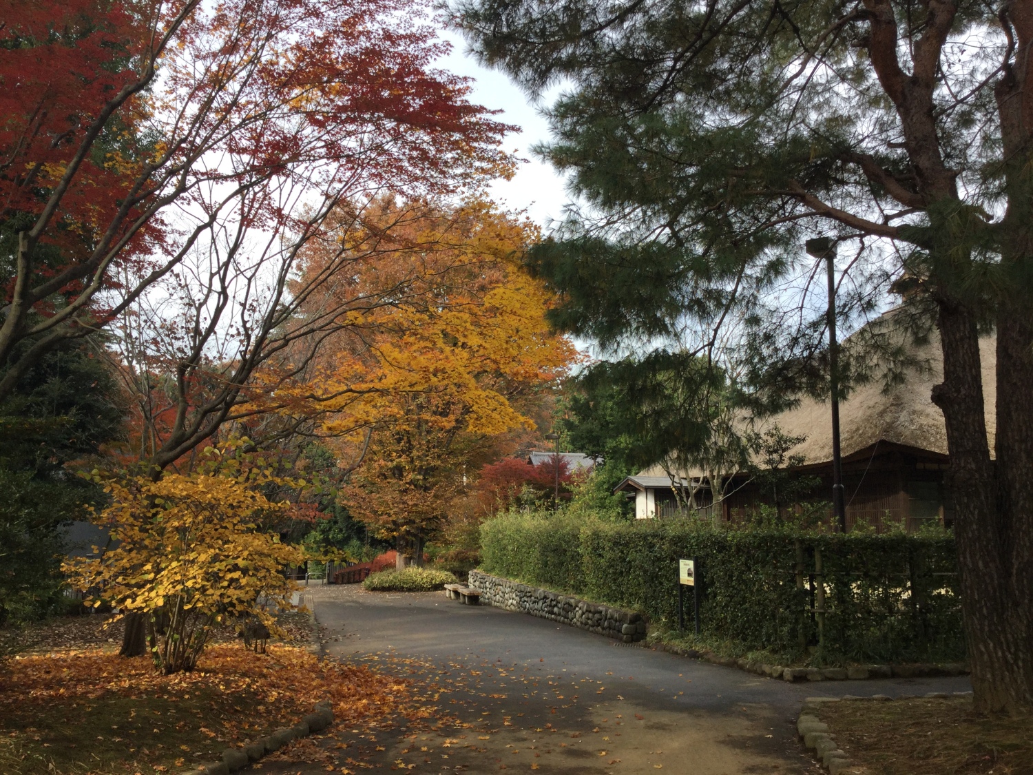 旧内田家住宅の紅葉