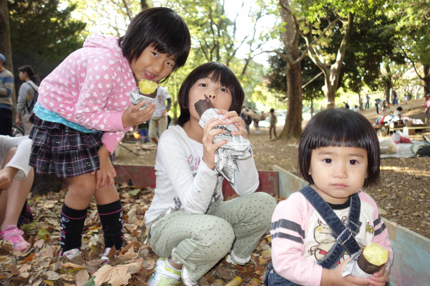 ほっこり とっておきの練馬 写真館 とっておきの練馬 ほっこり とっておきの練馬 写真館 とっておきの練馬