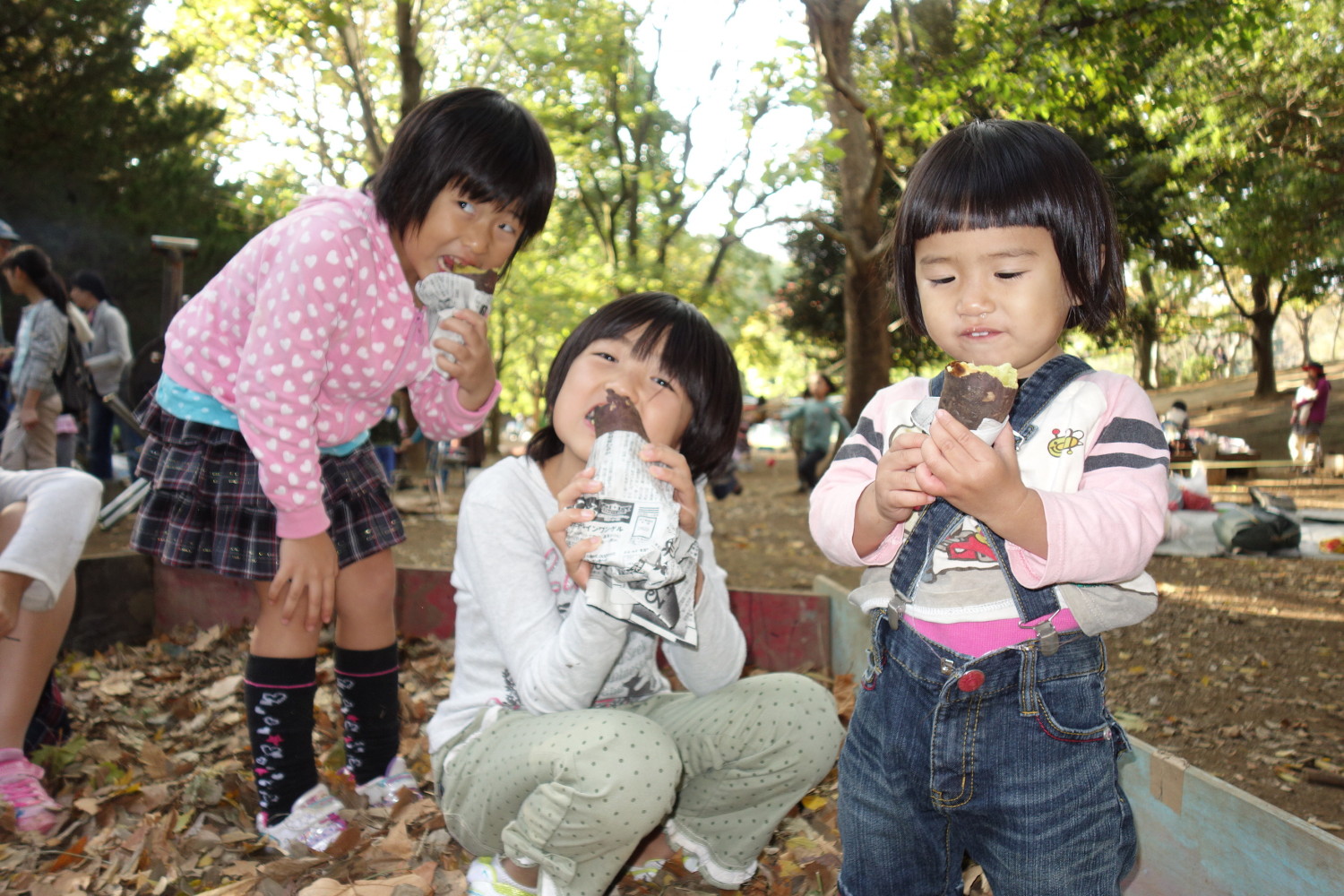 ほっこり とっておきの練馬 写真館 とっておきの練馬 ほっこり とっておきの練馬 写真館 とっておきの練馬