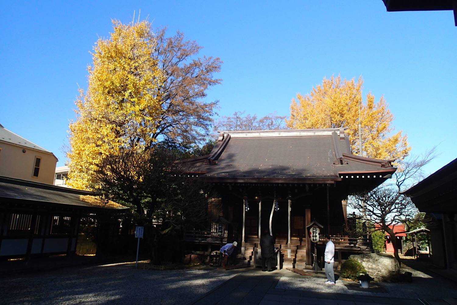 神社の晩秋