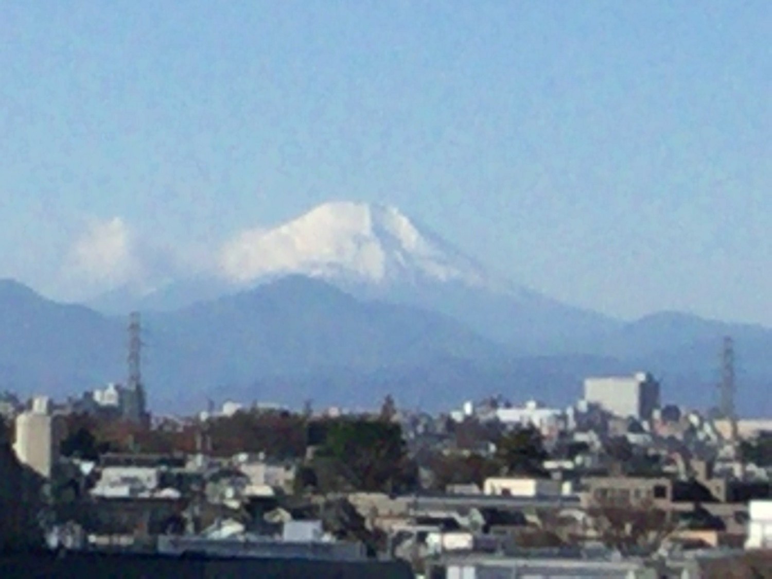  露地から富士山 画像