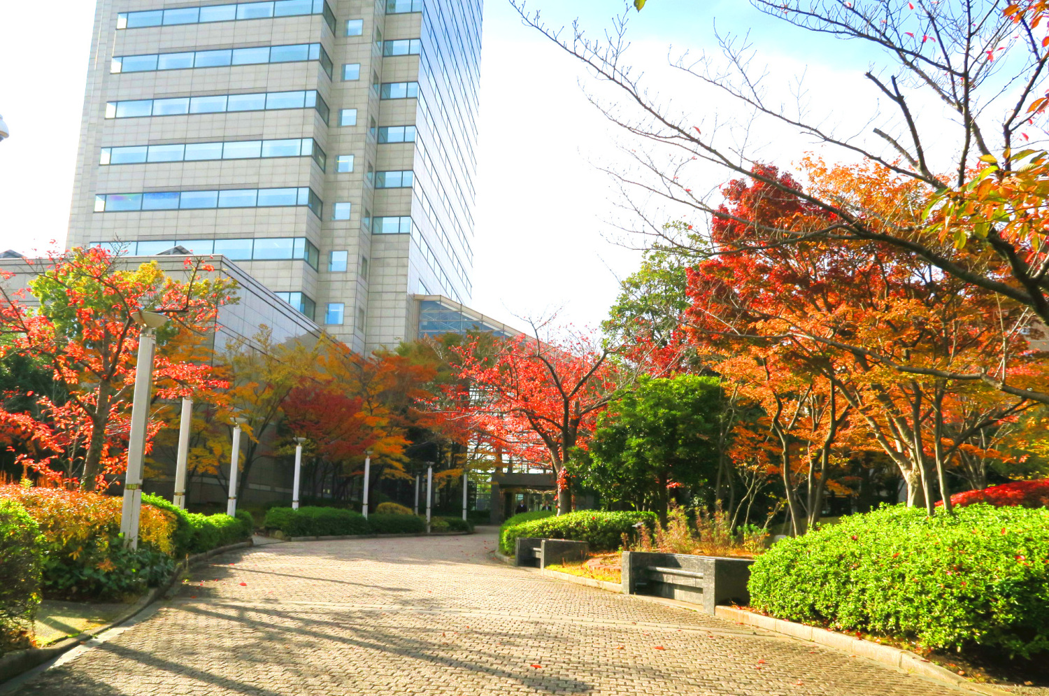 ホテルカデンツァの庭の紅葉