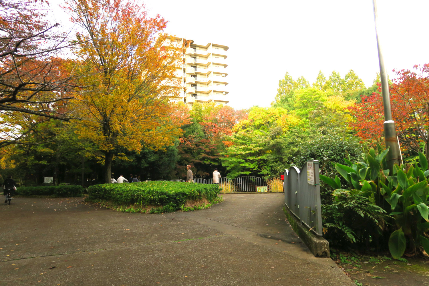 春の風公園の紅葉