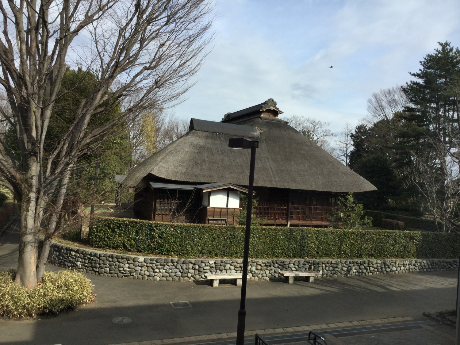 ふるさと文化館の中からの眺め 画像