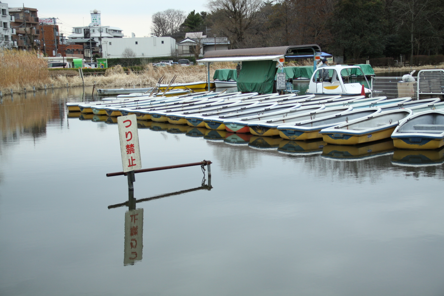 ボート池にて