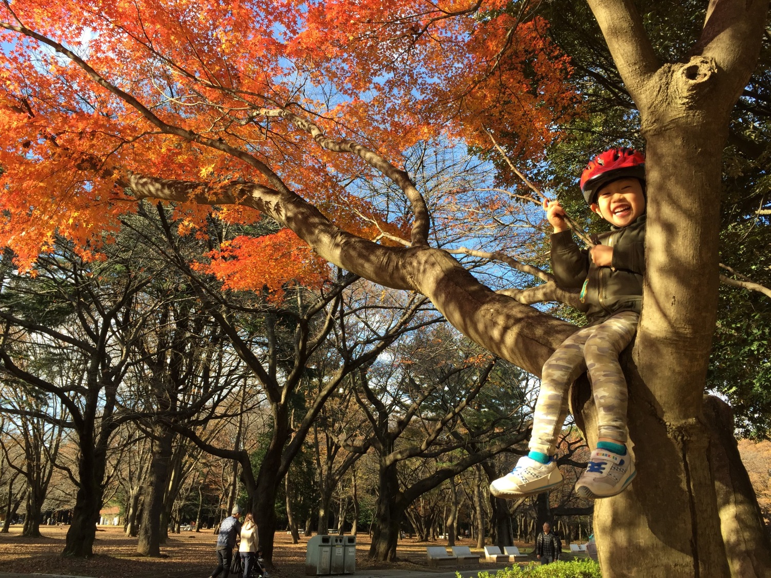 紅葉が素敵過ぎる光が丘公園！