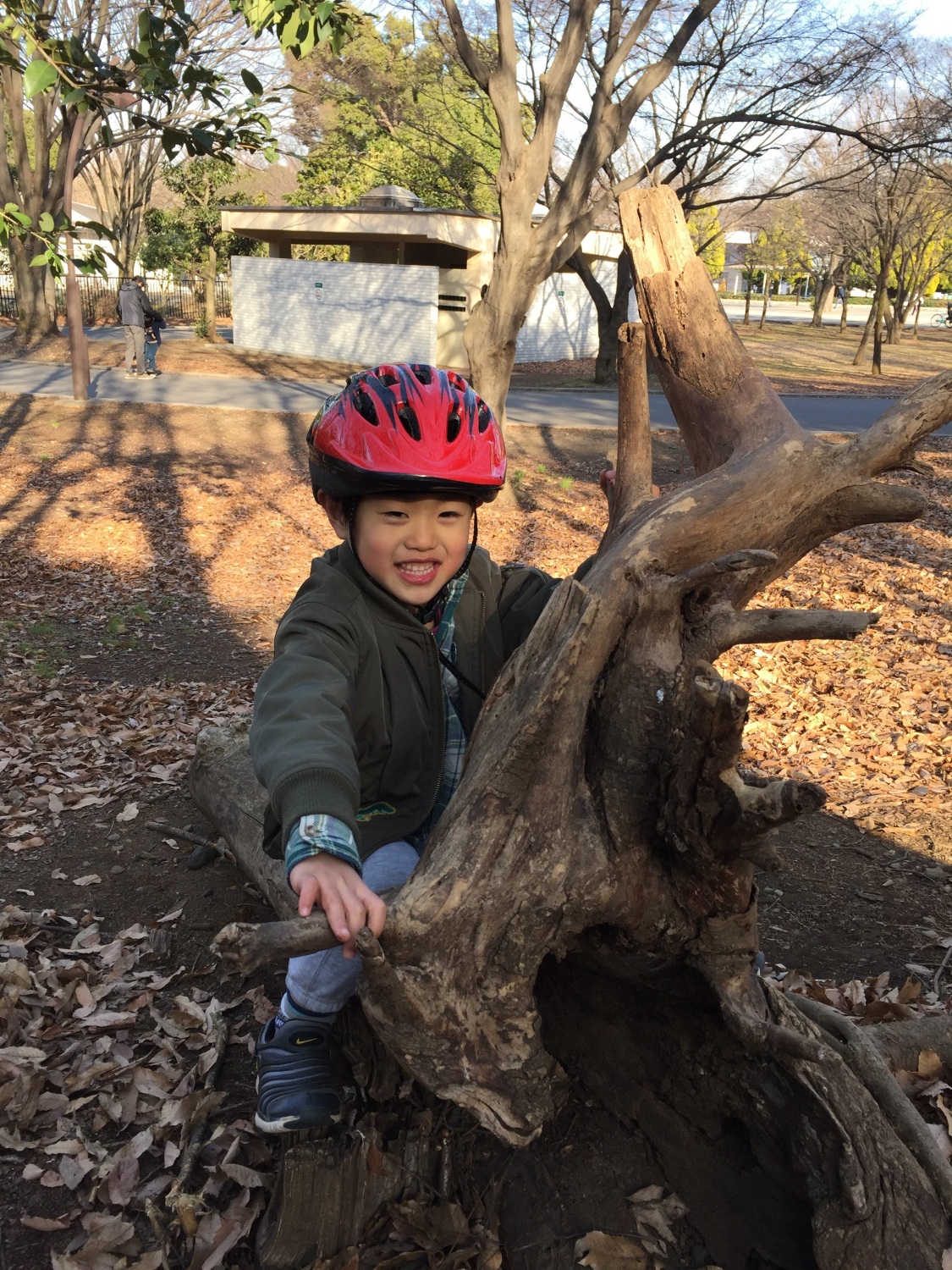 光が丘公園は自然のおもちゃだらけ！
