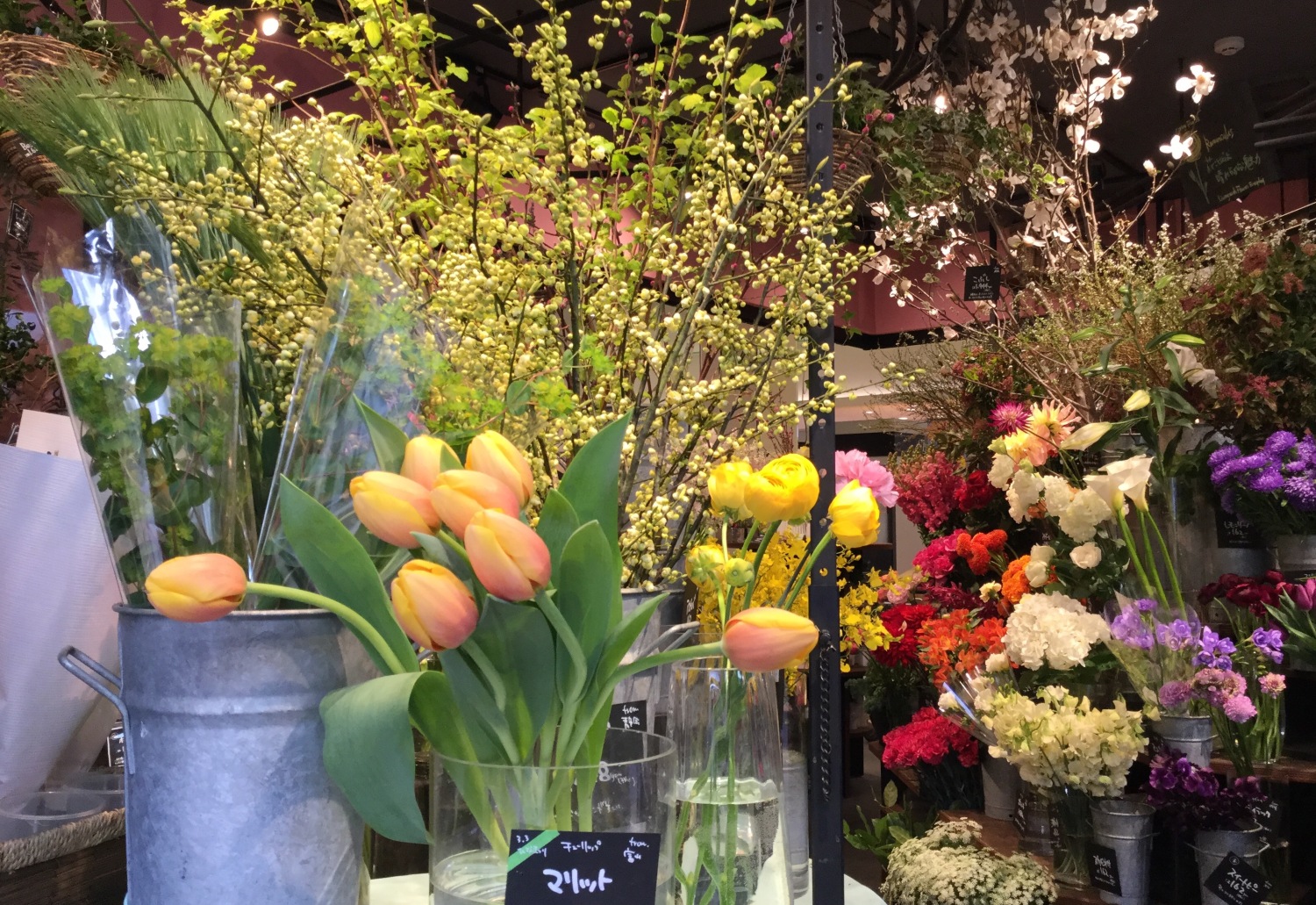 お花屋さんの春 とっておきの練馬 写真館 とっておきの練馬 お花屋さんの春 とっておきの練馬 写真館 とっておきの練馬