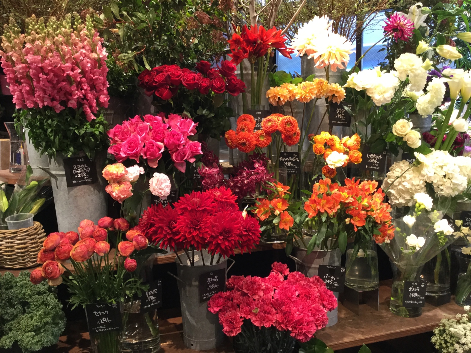 お花屋さんの春 とっておきの練馬 写真館 とっておきの練馬 お花屋さんの春 とっておきの練馬 写真館 とっておきの練馬