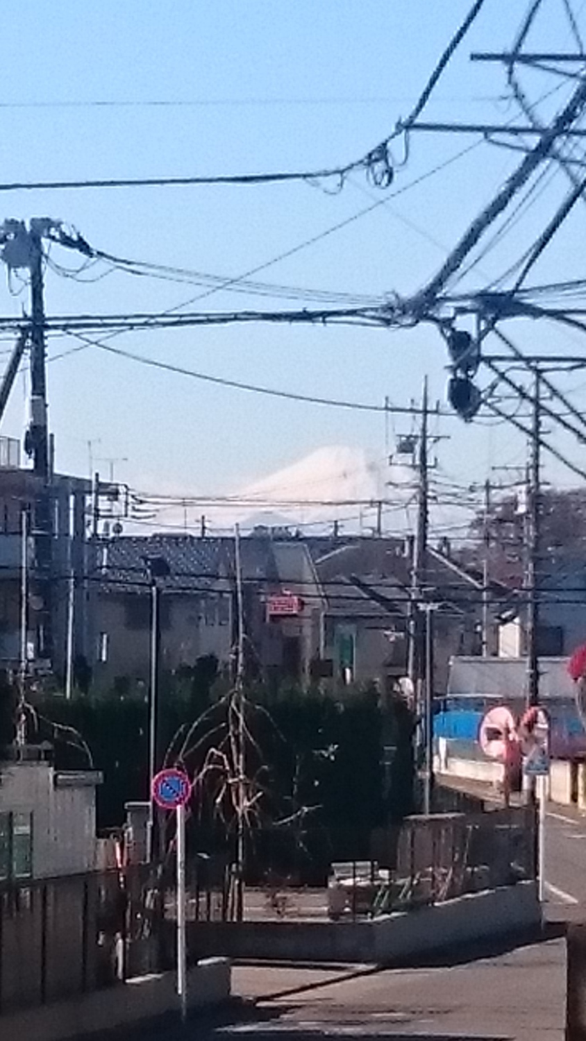     ほんの富士見坂 画像