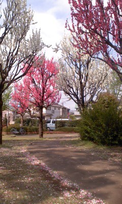 木漏れ日公園