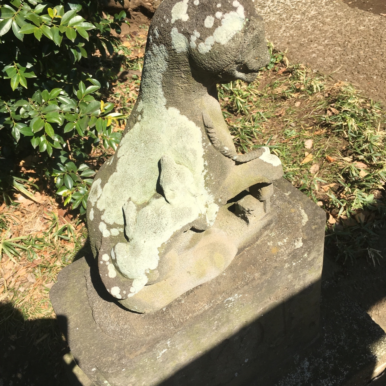 狛犬…の親子？？ 画像