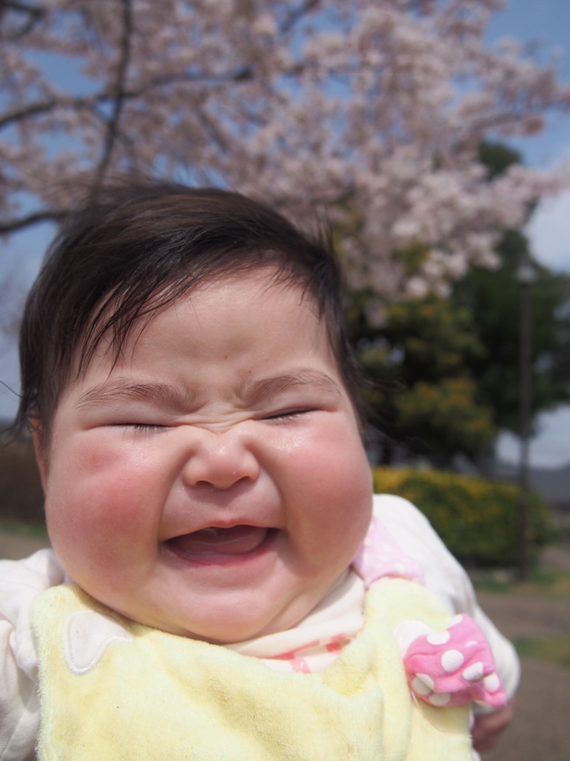 初めてのお花見