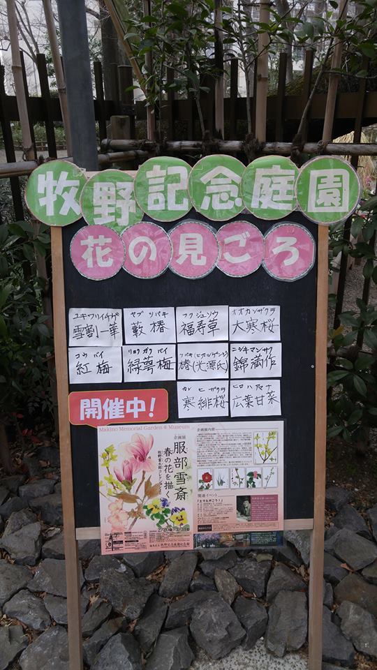 牧野記念庭園でイベント開催中！ 画像