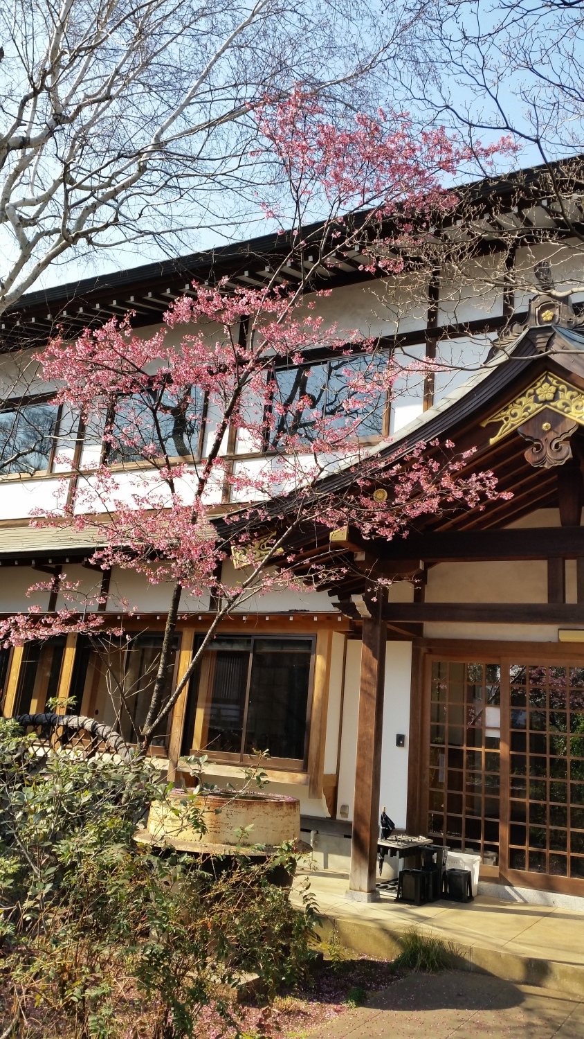 お彼岸の観蔵院 画像