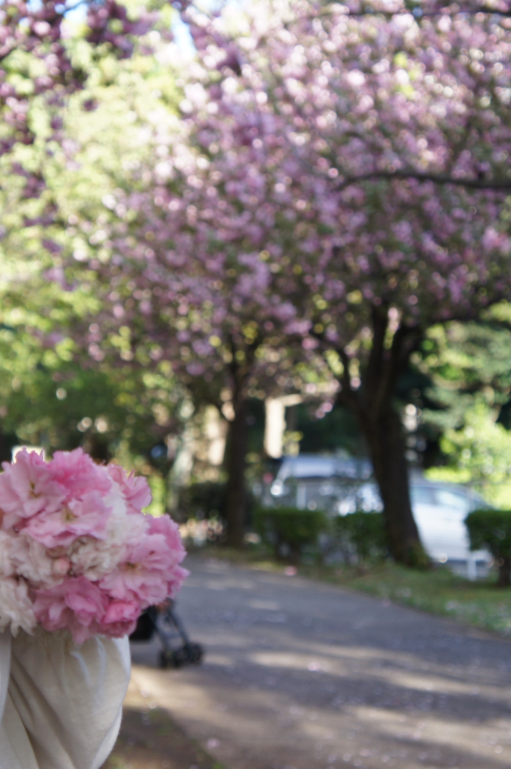 八重桜の花束 画像