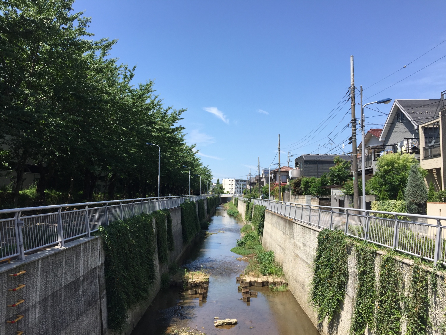 安心出来る散歩道