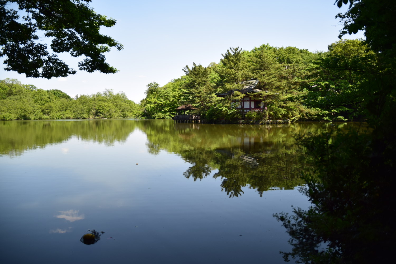 湧水の名残り