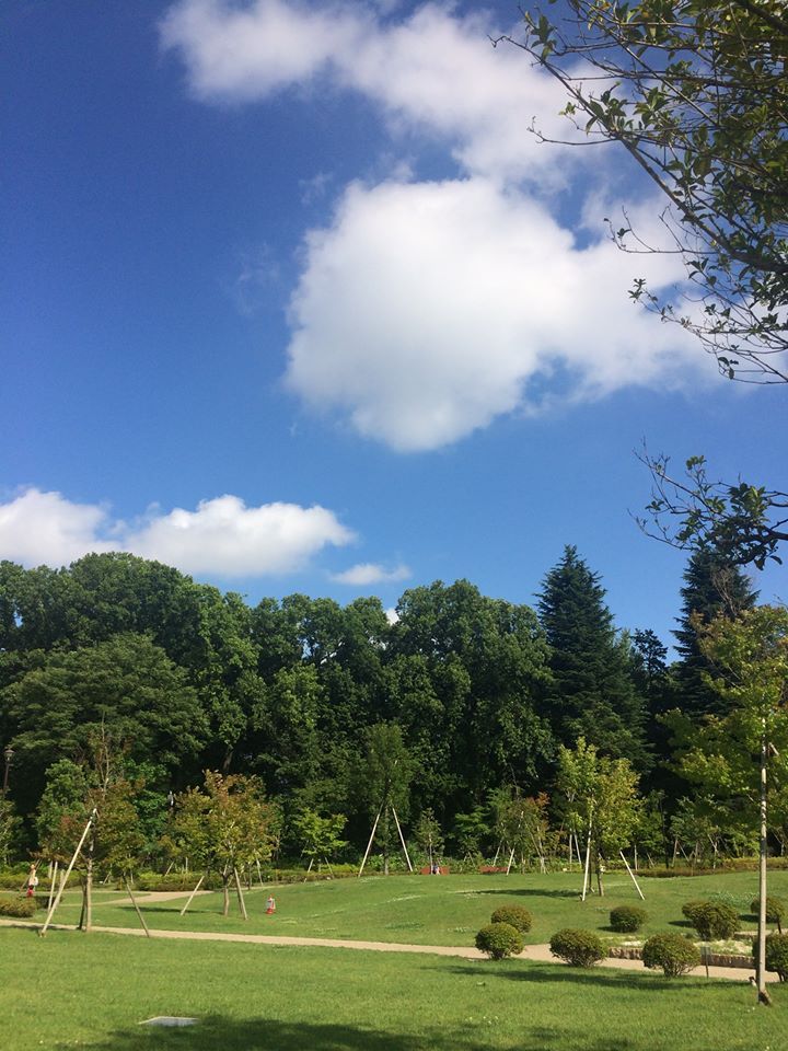 梅雨の晴れ間！