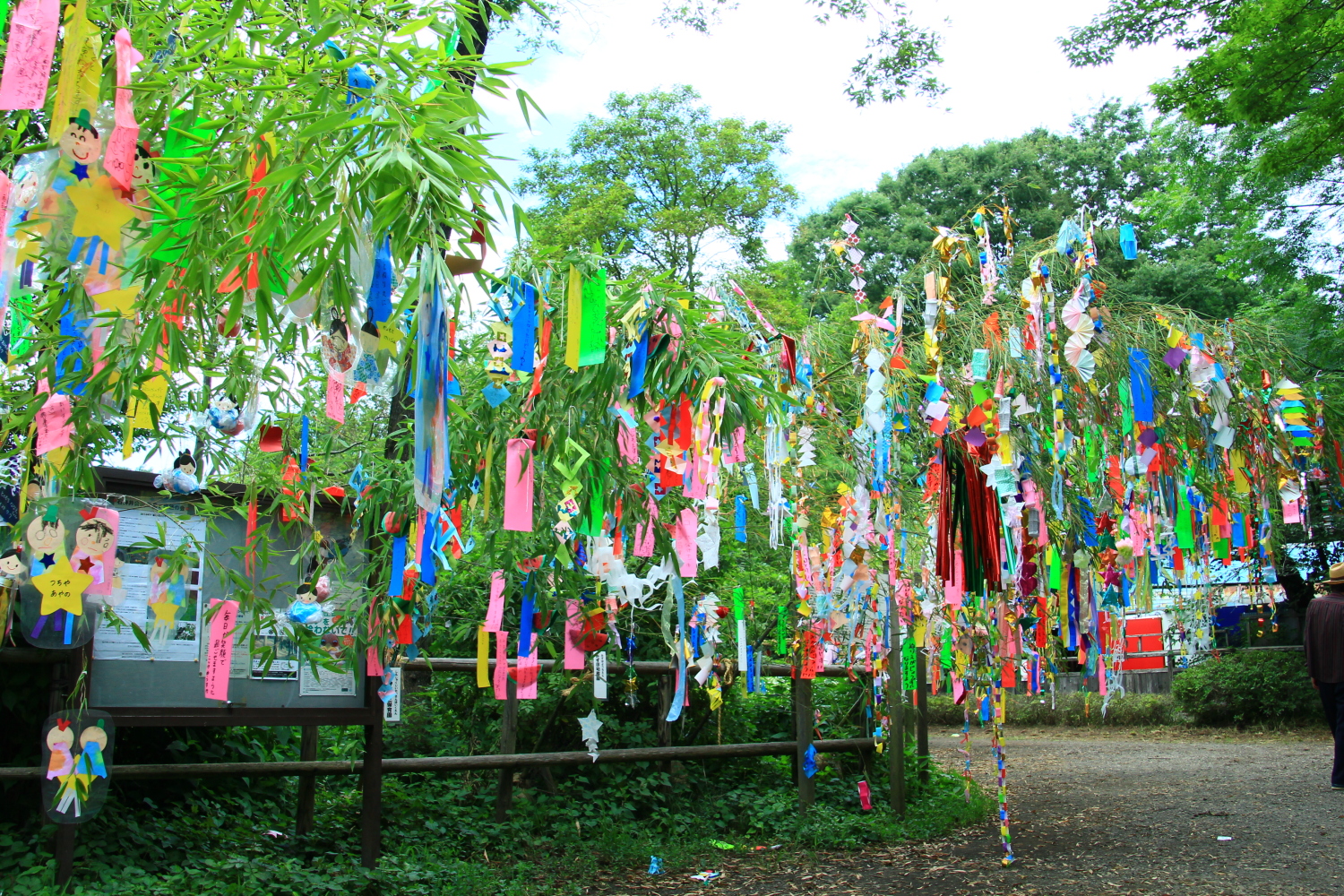 石神井公園の七夕祭り