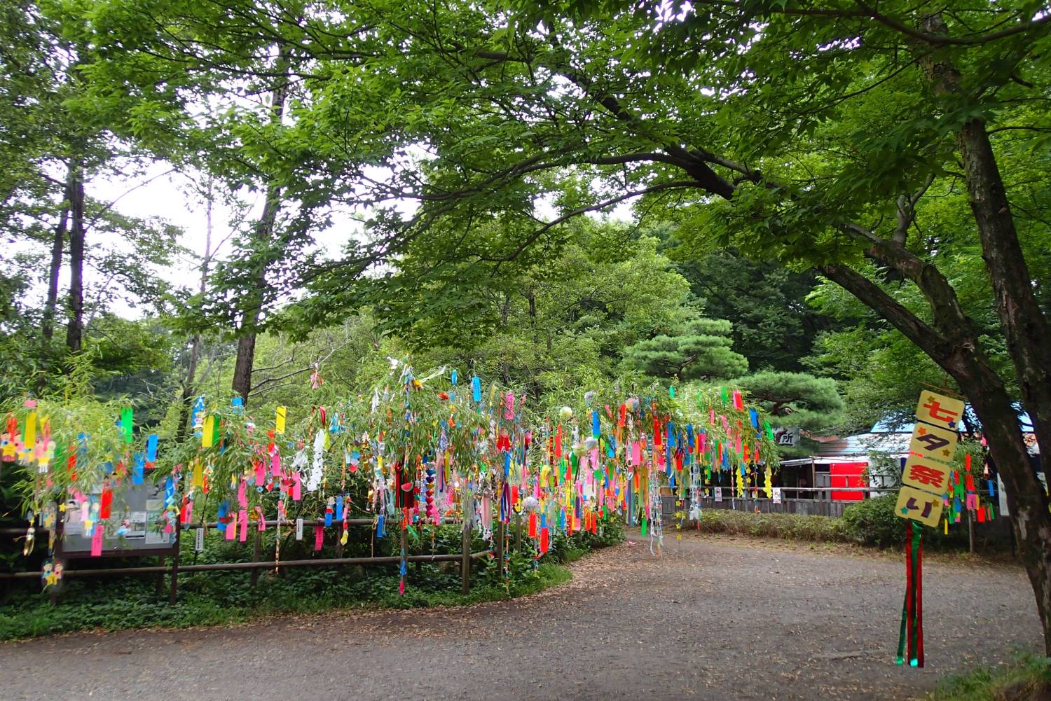 恒例の三宝寺池の七夕です