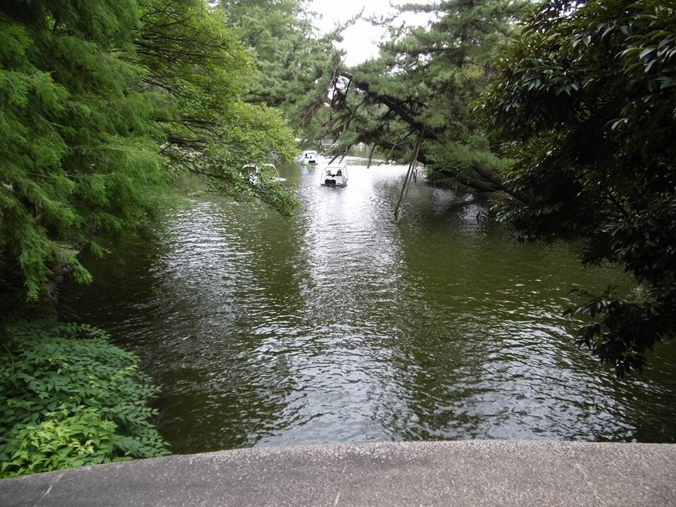 涼しい土曜日