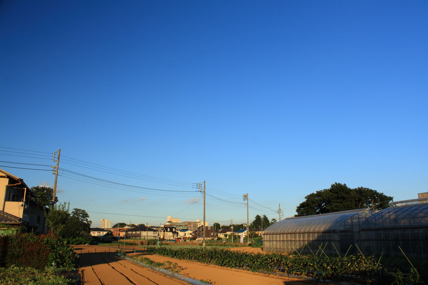 住宅街に残る農村のような風景