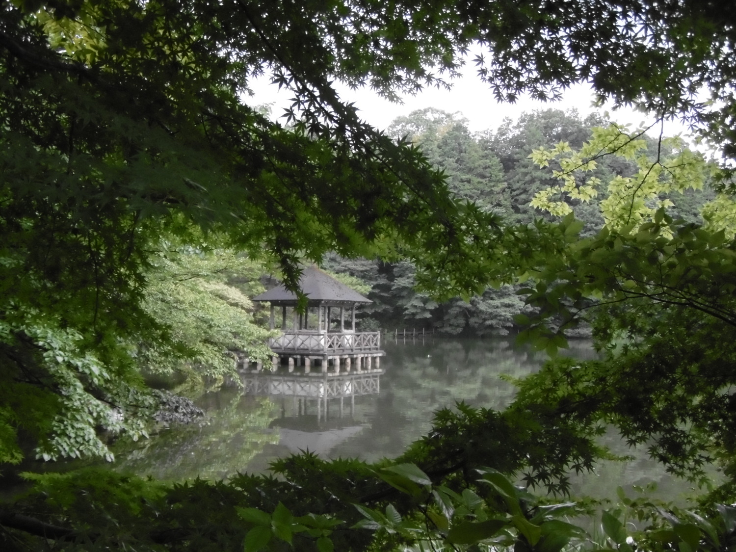 雨の中のお気に入りスポット 画像