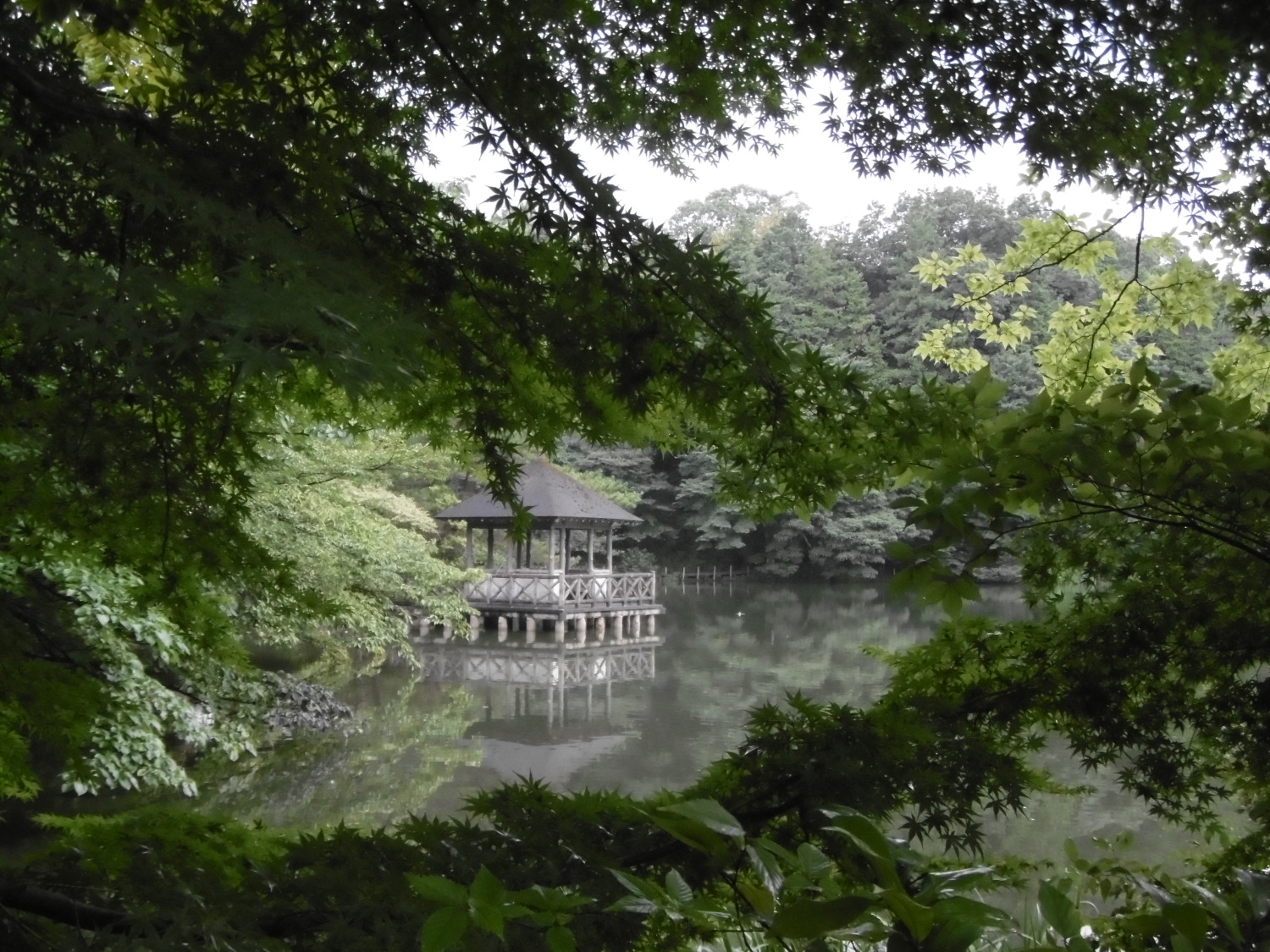 雨の中のお気に入りスポット