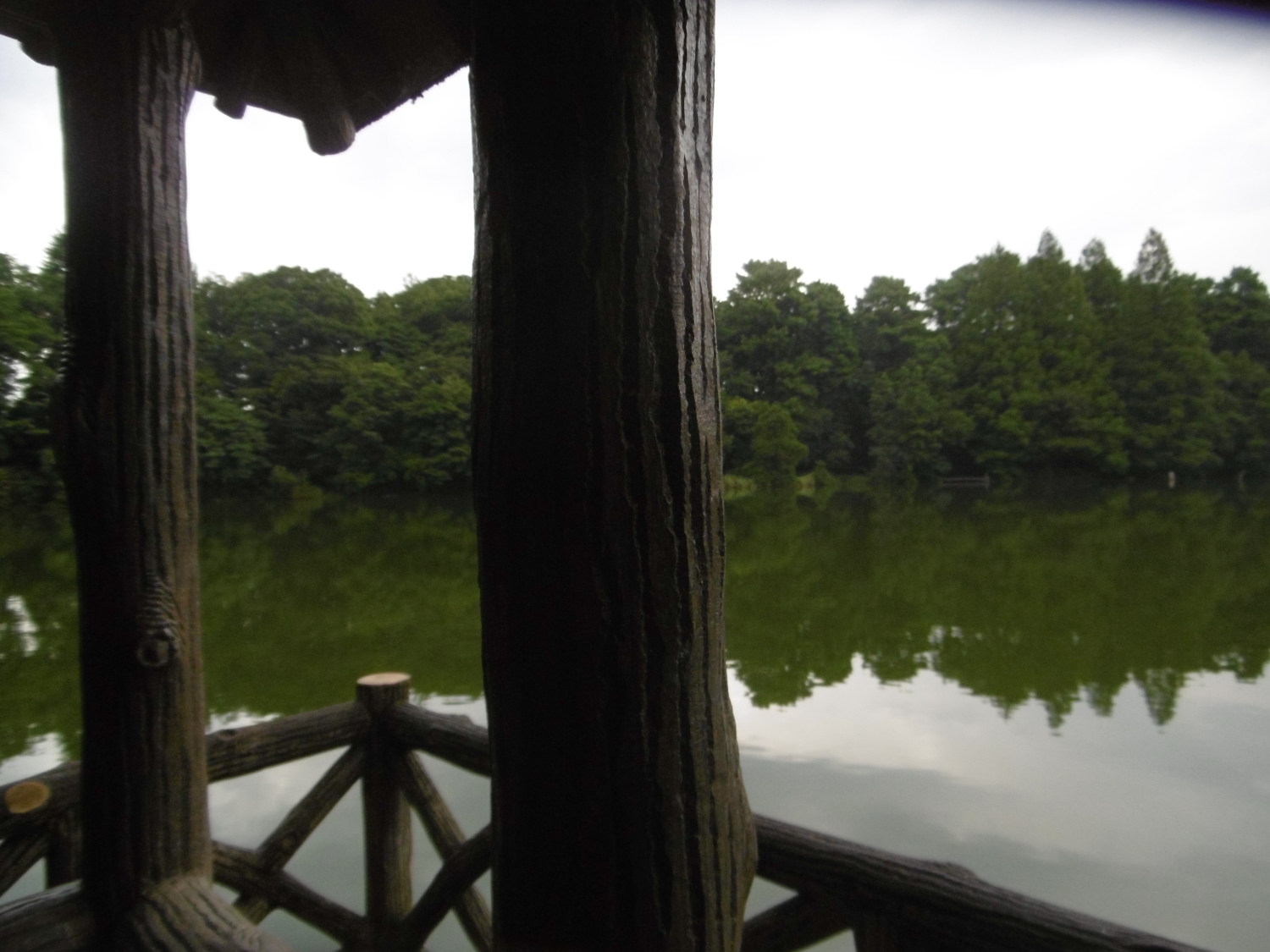 雨の中のお気に入りスポット 画像