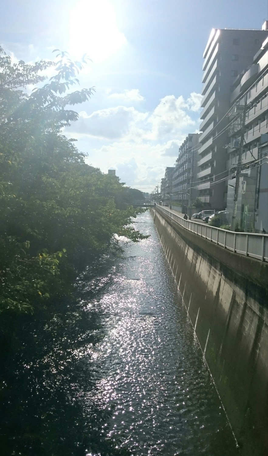 晩夏 とっておきの練馬 写真館 とっておきの練馬