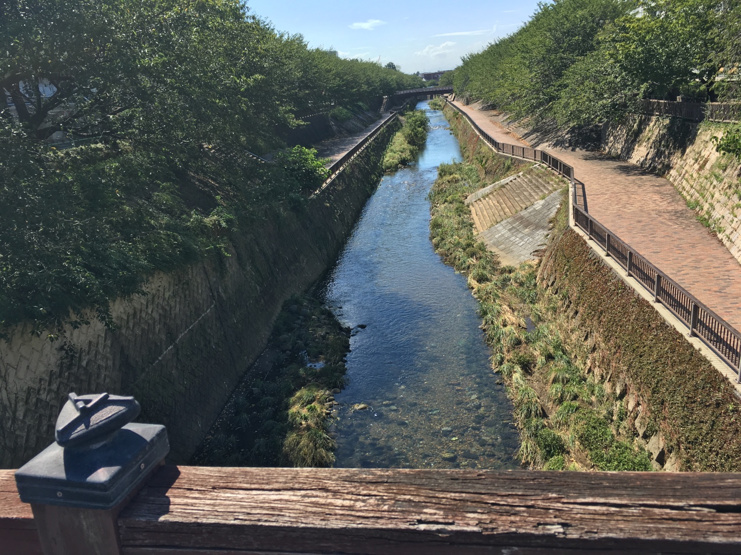 石神井川