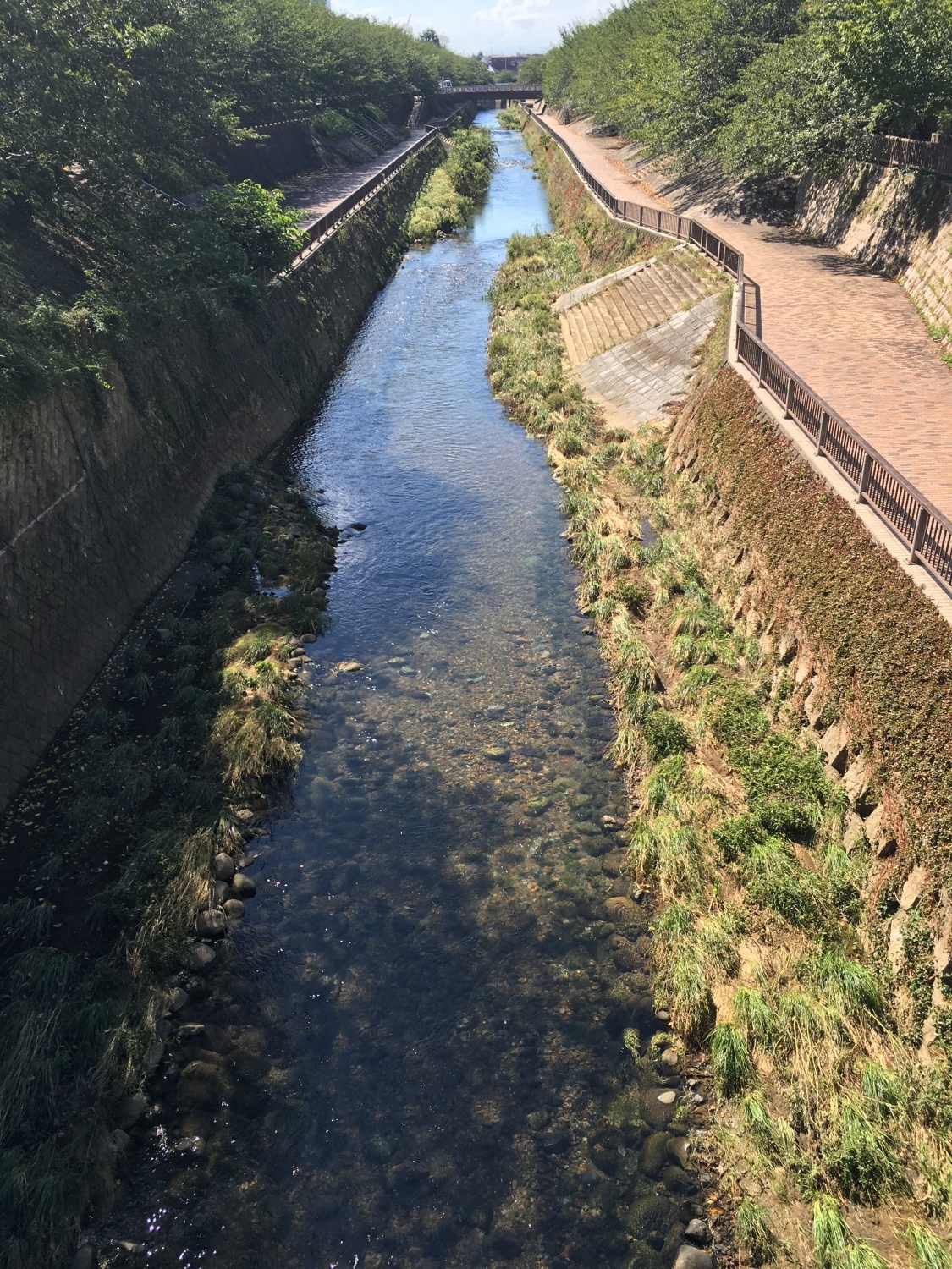 石神井川 画像