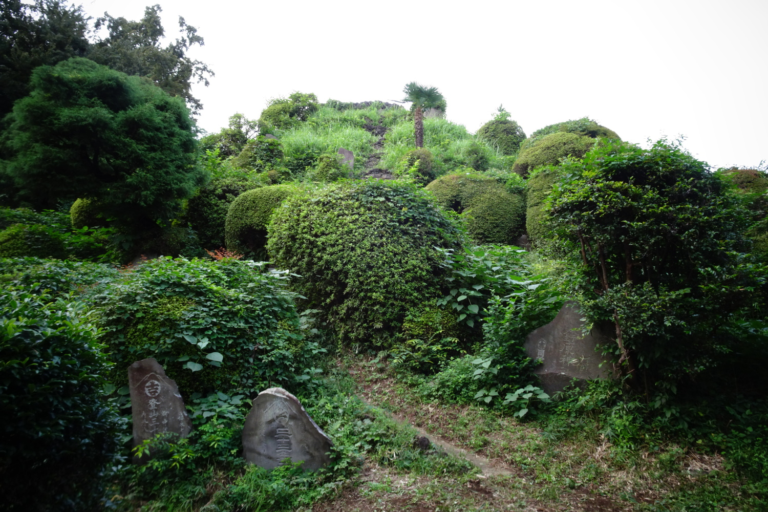 大泉町　八坂神社の富士塚