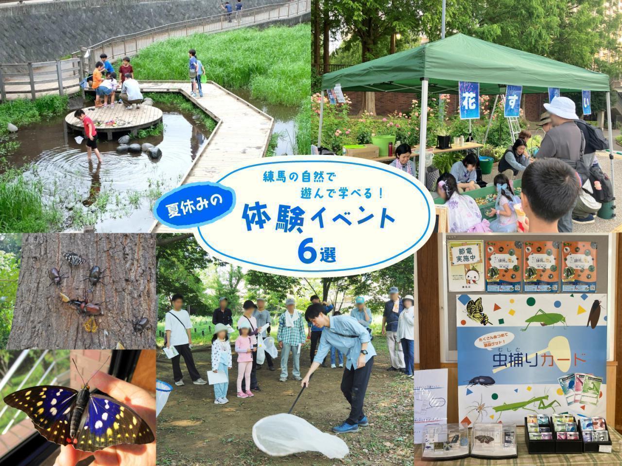 特集記事7月号 練馬の自然で遊んで学べる！ 夏休みの体験イベント6選