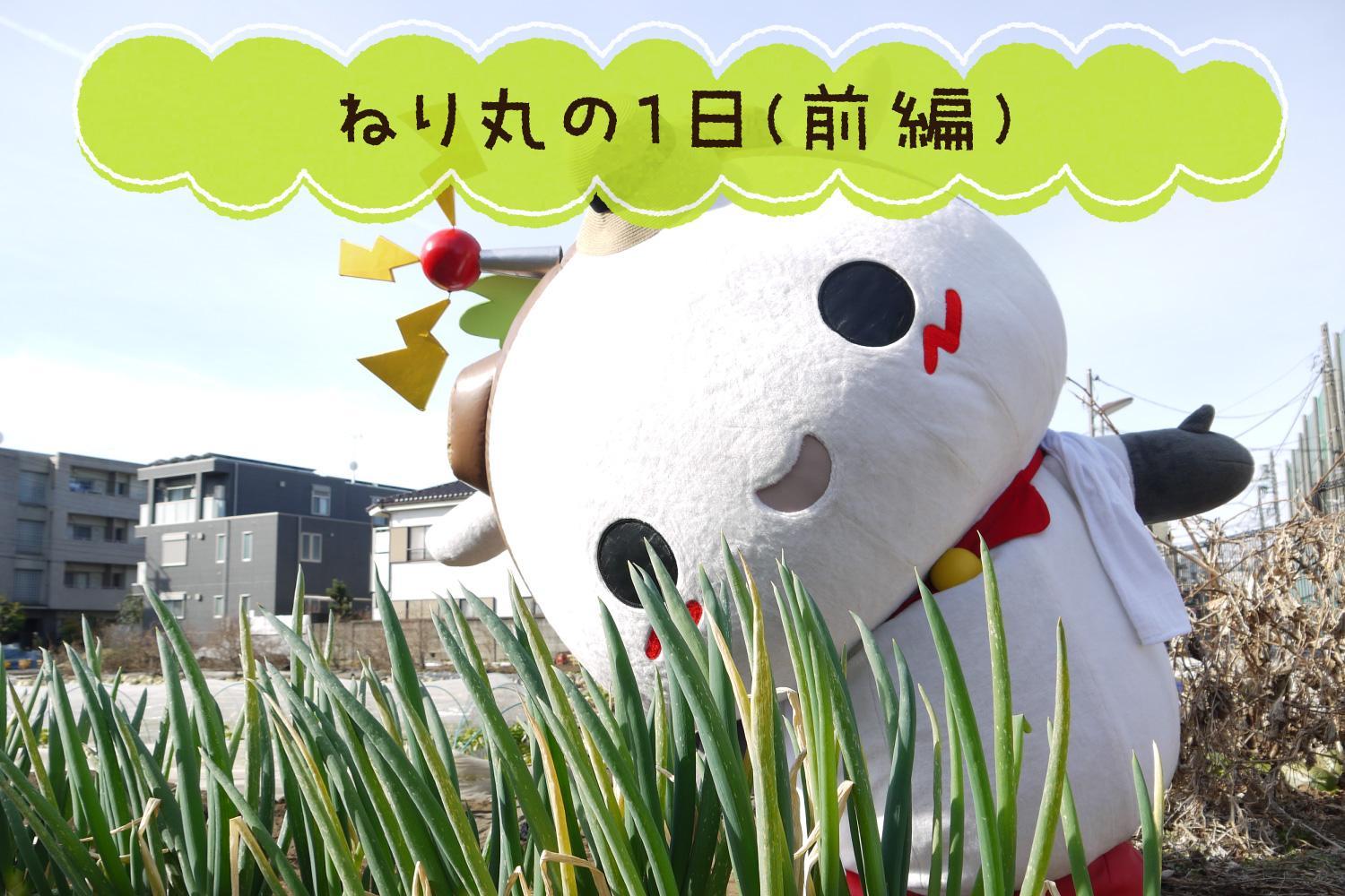 3月特集記事 ねり丸の1日に密着してみた ヒーロー修行 前編 を公開しました お知らせ とっておきの練馬 3月特集記事 ねり丸の1日に密着してみた ヒーロー修行 前編 を公開しました お知らせ とっておきの練馬
