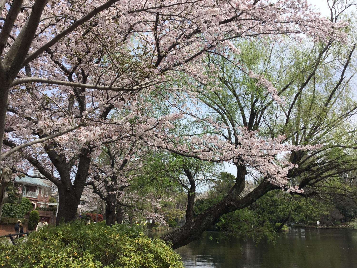 微笑ましい光景 2