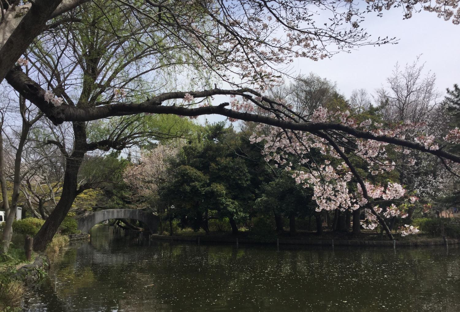 微笑ましい光景 3