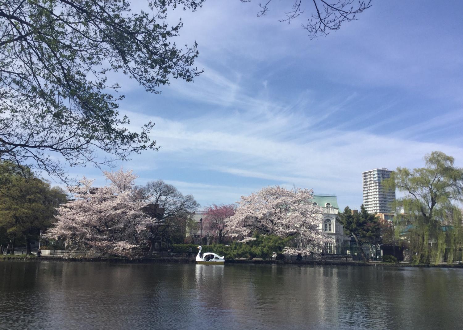 石神井池の素敵な景色