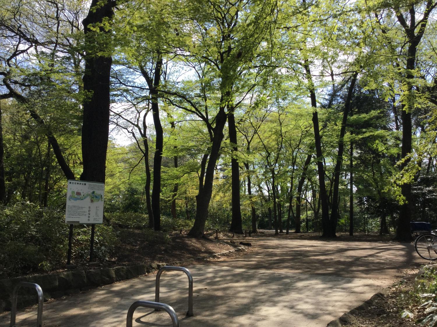 新緑の季節を迎える野鳥誘致林