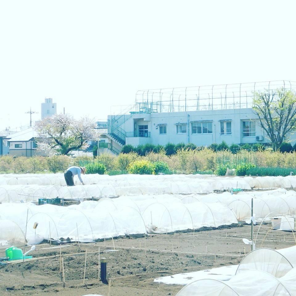 練馬区の或る日常。 1