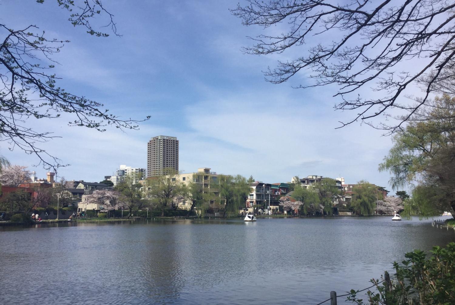 石神井公園 大好き 1