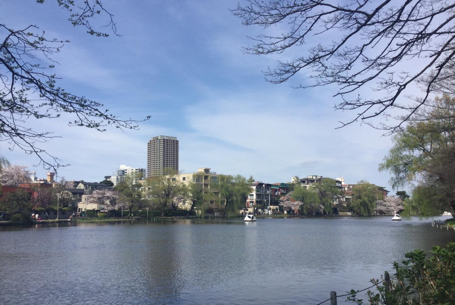 石神井公園 大好き