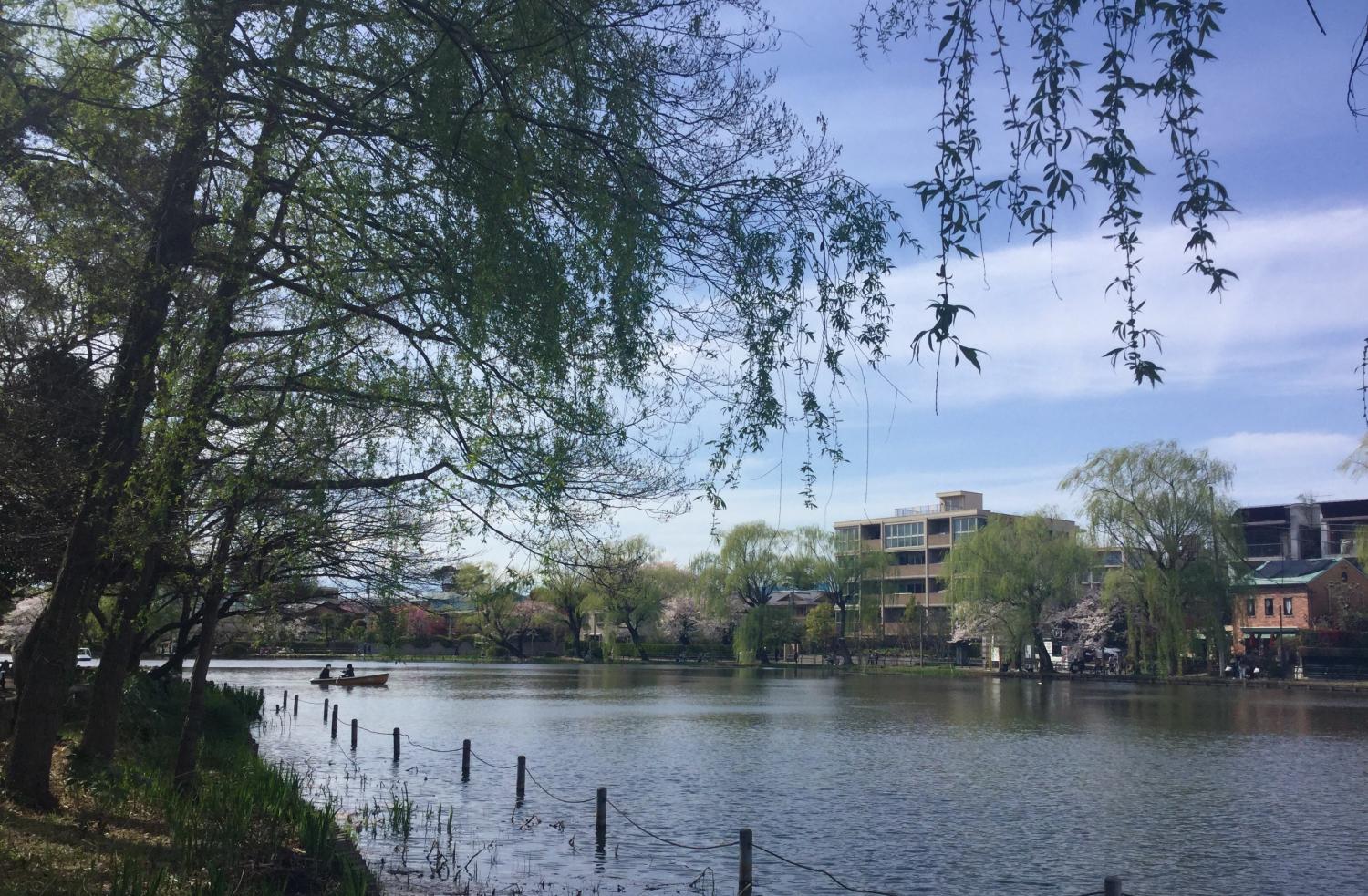 石神井公園 大好き 2