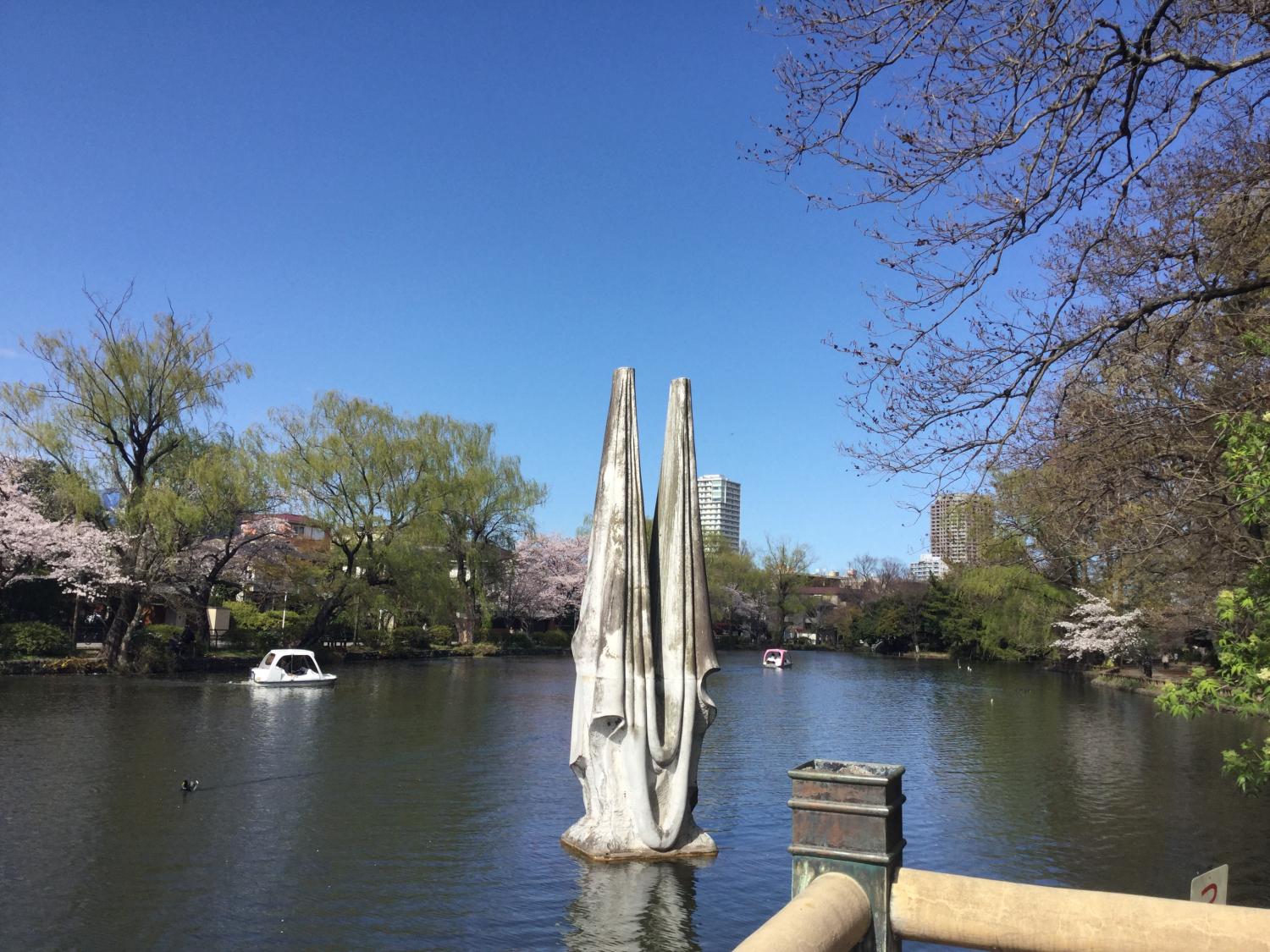 石神井公園 大好き 1