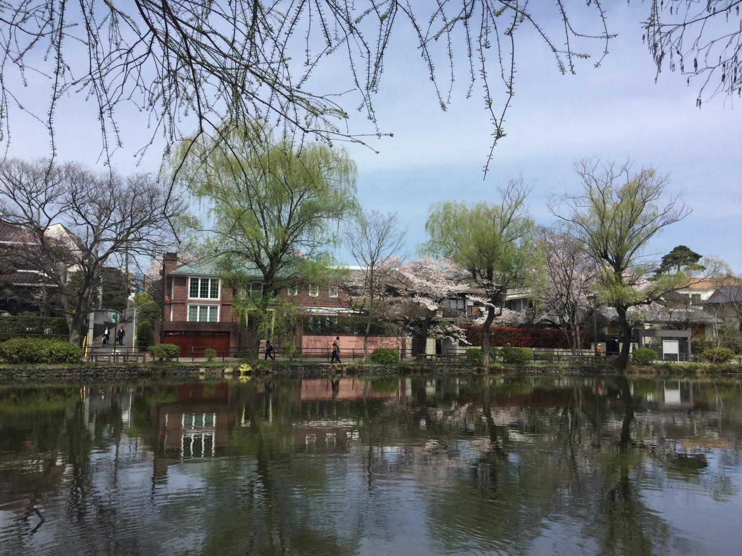 石神井公園 大好き