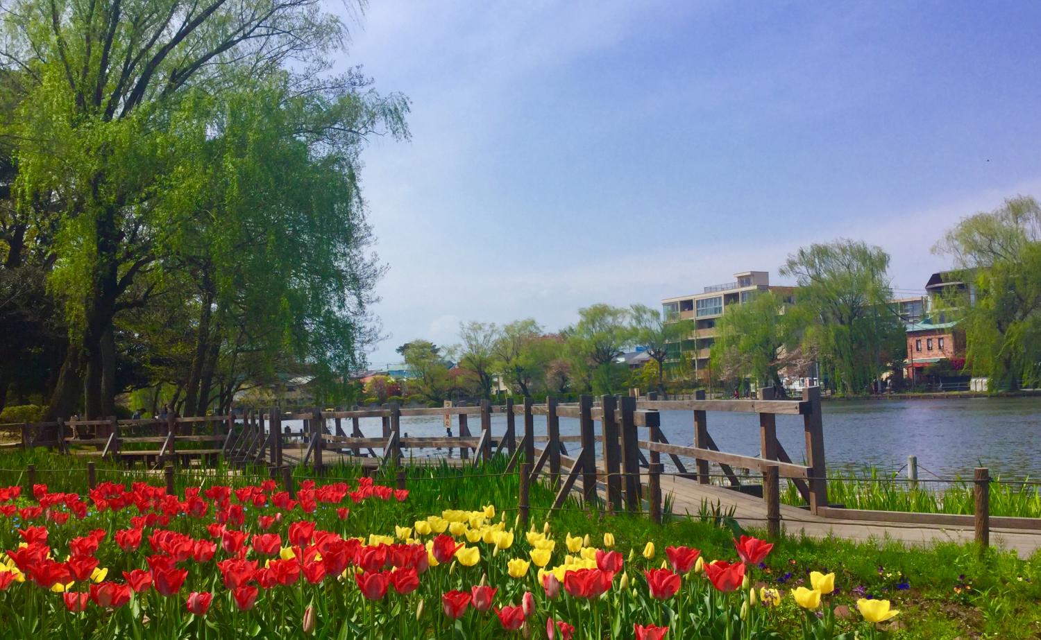 石神井公園 大好き 3