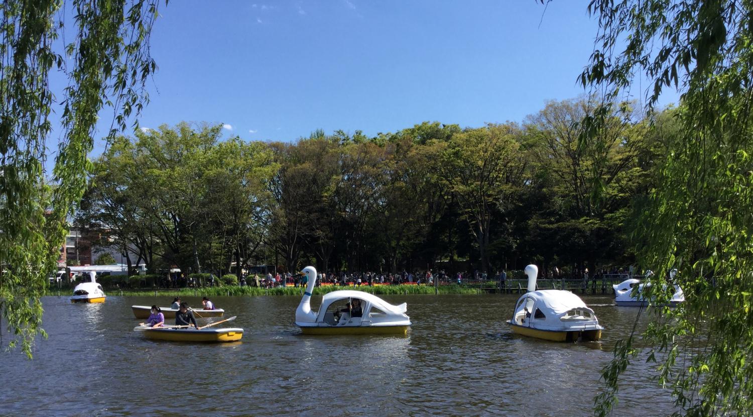 賑わう石神井公園