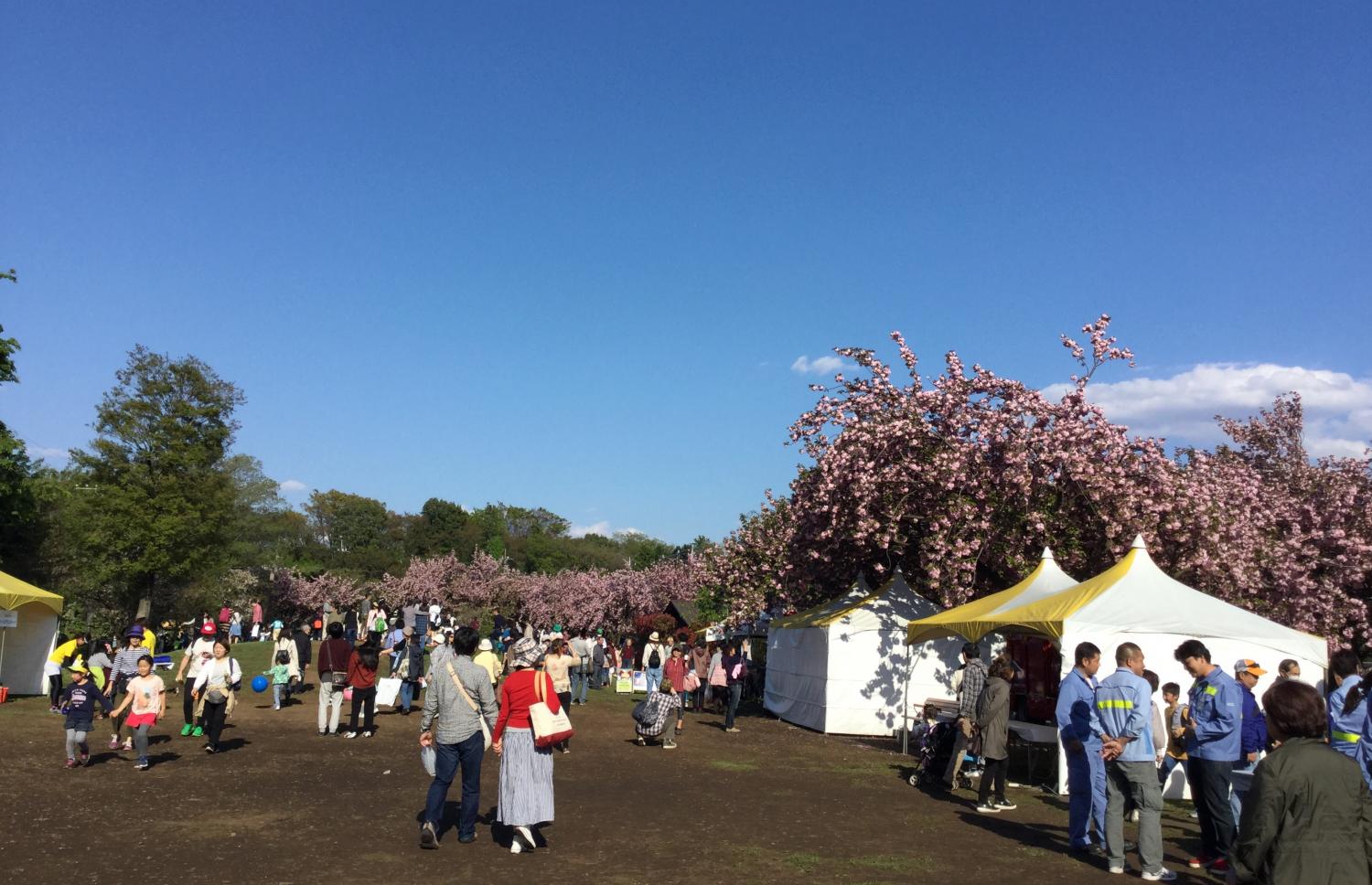 賑わう石神井公園 3